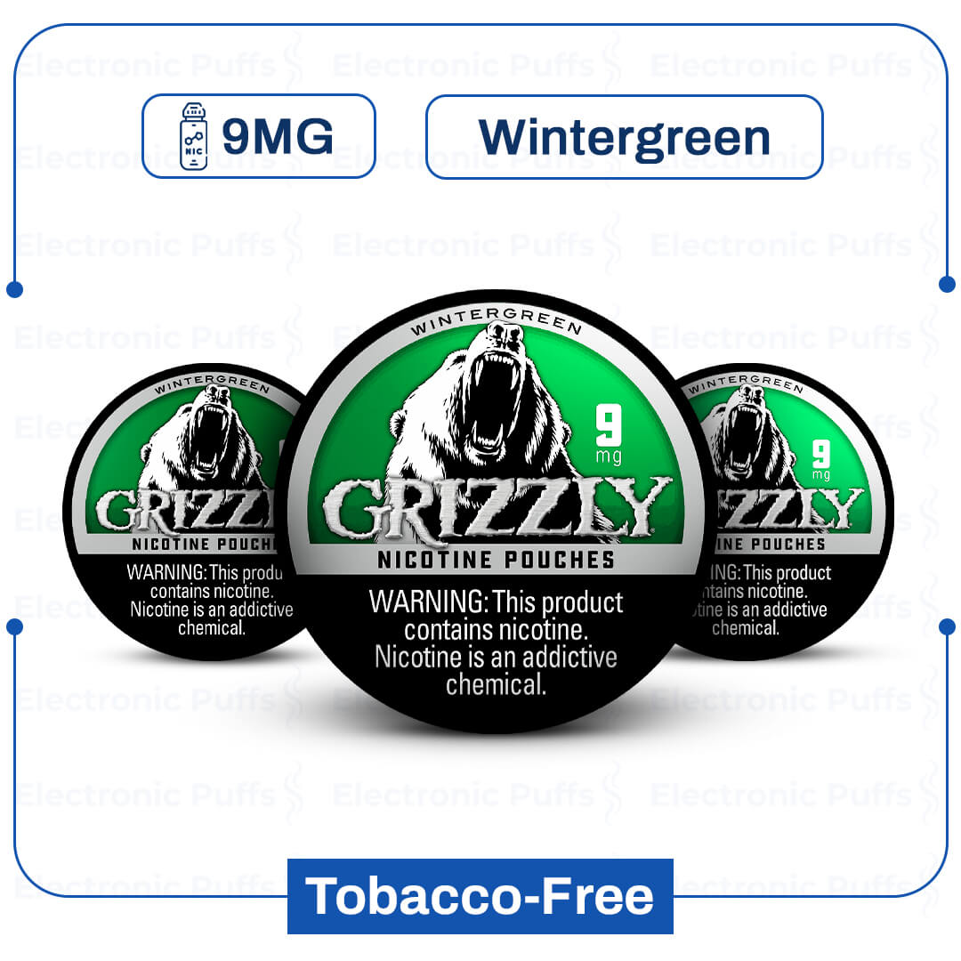Grizzly Wintergreen 9 mg Nicotine Pouch